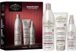 ALFAPARF Milano Il Salone Milano Magnificent Kit ajándékszett festett hajra