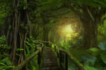  Jungle light tapéta, 400 x 250 cm