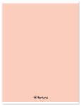 Fortuna Caiet căptușit FORTUNA Monocolor A/4 32 foi pastel piersică 01.02104 (01.02104)