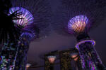  Singapore Park 2 öntapadós tapéta, 250 x 150 cm