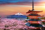  Öntapadós tapéta Flowers152 Japán templom cseresznyevirággal a naplementében, 250 x 200 cm