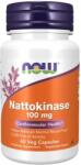 NOW Nattokinase, 100 mg, 60 capsule, Now
