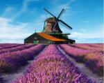  Öntapadós tapéta Lavender8, 300 x 200 cm