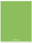 Fortuna Füzet kockás FORTUNA Monocolor A/4 32 lapos 87-32 zöld (01.08664) - vectraline