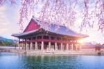  Falmatrica City63 Seoul Castle reggel, 250 x 150 cm