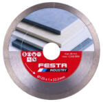 FESTA Disc de tăiere cu diamant 125 x 1 x 22, 2 mm (21256F) Disc de taiere