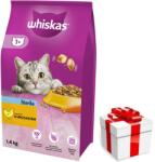  marka niezdefiniowana WHISKAS Sterile 3, 8 kg - száraz eledel felnőtt macskáknak ivartalanítás után, finom csirkével + egy ingyenes meglepetés a macskának