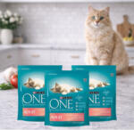 Purina One száraz macskaeledel lazaccal (3x800 g)