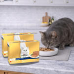 Purina Gourmet Gold alutasakos macskaeledel pástétom (24x85 g)