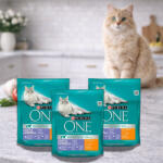 Purina One Coat & Hairball száraz macskaeledel csirkével (3x800 g)