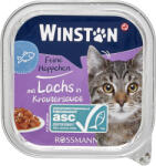Winston állateledel macskáknak lazaccal - 100 g