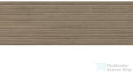 Cifre Cerámica DASSEL Walnut 40x120 cm fali csempe (CIF0504)