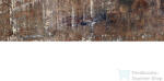 Cifre Cerámica COLONIAL Wood Nature Mate 7, 5x30 cm fali csempe (CIF0078)