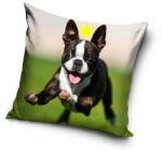 Carbotex Kutyás párnahuzat 40x40 cm (CBX211004PD)