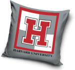 Carbotex Harvard Univercity párnahuzat 40x40 cm (CBX214008HD)
