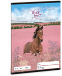 Ars Una Lovas tűzött füzet A/5, 32 lap sima Wild and Free (ARS-53613592) - perfectbaby