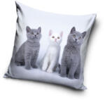 Carbotex Cicás Trio párnahuzat 40x40 cm Velúr (CBX231182PNL) - perfectbaby