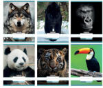 Nebulo Vegyes mintás tűzött füzet A/4, 32 lap, kockás, Állatos minták, Nebulo (ALI-NR-AM-A4)