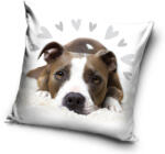 Carbotex Kutyás párnahuzat 40x40 cm (CBX195006PD)