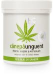 Medic Progress Unguent cu 10% Ulei de Canepa 250ml