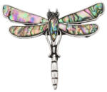  Ezüst Színű Abalone Paua Kagyló Szitakötő Bross Kitűző