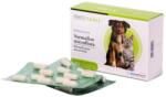  VANCE VANCE Probiotic Normalizarea Microflorei, supliment sistem digestiv câini și pisici, capsule VANCE Probiotic Normalizarea Microflorei, XS-XL, supliment sistem digestiv câini și pisici, cutie, 30
