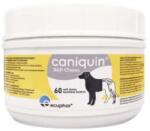  ECUPHAR ECUPHAR Caniquin, supliment sistem articular, sistem osos câini, comprimate masticabile ECUPHAR Caniquin, XS-XL, supliment sistem articular, sistem osos câini, flacon, 60 comprimate masticabil