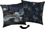 Jerry Fabrics Dekoratív párna 40x40 cm - Harry Potter "Roxfort (J-24CS046)