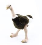 Rappa Pluș Rappa struț Emu, 32 cm (120211)