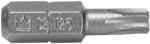 RICHMANN C6576 Set capete bit, chei tubulare