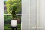 MENDOLA PERDEA CU REJANSA MENDOLA PEACH bej 01