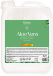 Klintensiv Săpun lichid Aloe Vera-5 litri / Bucata