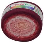 VLNIKA SpagoYarn Rainbow 250 g - 1 rózsaszín-bordó (7656)