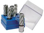 BDS Maschinen Set carote scurte HSS BDS, prindere Weldon 3/4" (19mm), 5 bucati (KBKBOXSTANDARD)