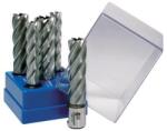 BDS Maschinen Set carote standard scurte HSS BDS VarioPlus, prindere Weldon 3/4" (19mm), 5 bucati (KBLBOXSTANDARD)