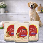 Purina One Mini Sensitive száraz kutyaeledel lazaccal (3x800 g)