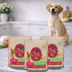 Purina One Mini Weight Control száraz kutyaeledel pulykával (3x800 g)