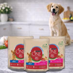 Purina One Mini Adult száraz kutyaeledel marhahússal (3x800 g)