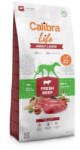 Calibra Dog Life Adult Large Breed Fresh Beef kutyatáp - 2, 5 kg