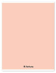 Fortuna Füzet vonalas FORTUNA Monocolor A/4 32 lapos 81-32 pasztell barack (01.02104) - robbitairodaszer