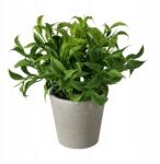 Boltze Fern Műnövény Cement Kaspóban 17 CM Zöld (2017432 -pattern3)