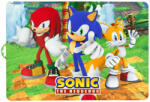 Sega Sonic a sündisznó Trio tányéralátét 43x28 cm Nr1
