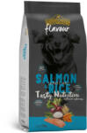DIVINUS Száraz Kutyaeledel Divinus Flavour Dog Kutyáknak Lazac Magas fehérjetartalmú rizzsel 18KG