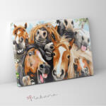 Makana Bolond banda - Számfestő készlet, kerettel (40x50 cm)