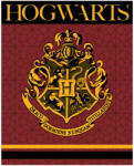 E plus M Harry Potter Crest coral fleece polár takaró 120x150cm (EMM5248361)