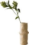 Botane Ramură artificială Botane skimmia, 73 cm, verde (BOT-GR-SK-001)