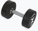 XTREXO Gantera din fontă cauciucată XTREXO Pro 16 kg black