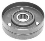 Magneti Marelli Napínacia kladka rebrovaného klinového remeňa MAGNETI MARELLI 331316170250 (331316170250)