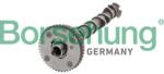 Borsehung Vačkový hriadeľ Borsehung B11319 (B11319)