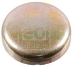 Febi Bilstein Protimrazová poistka FEBI BILSTEIN 07294 (07294)